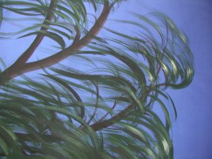 ElaborazioneFondaleSalice11