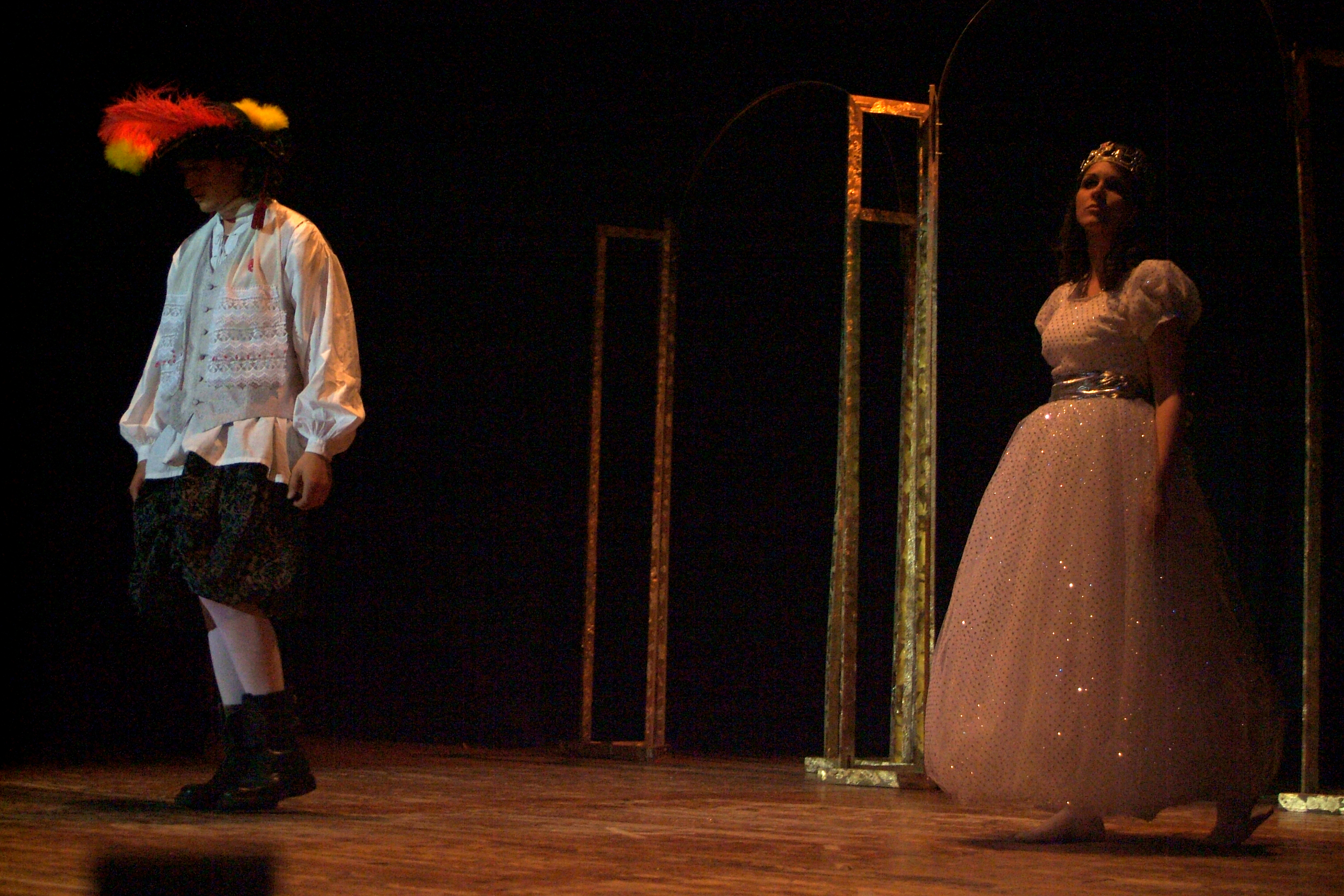 La Gatta Cenerentola